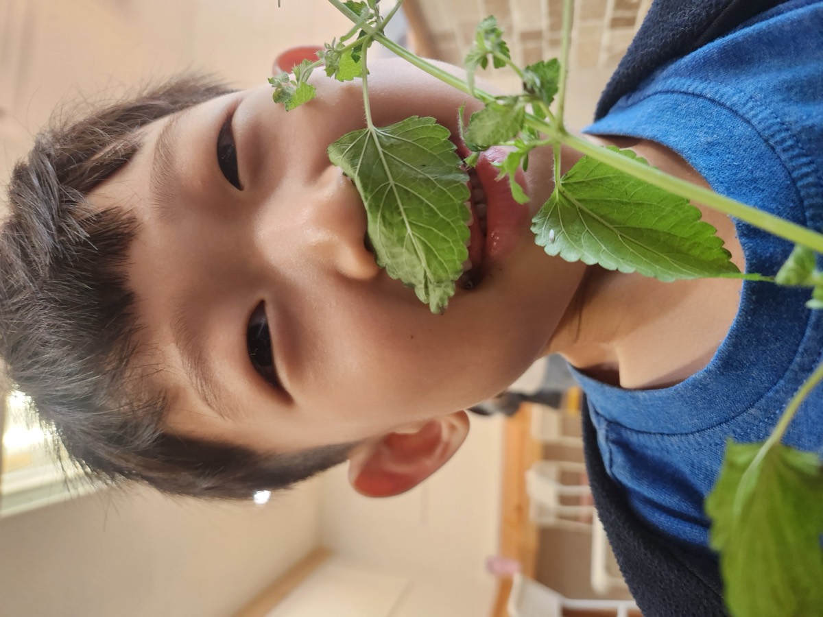 A boy grinning playfully while holding a leaf
