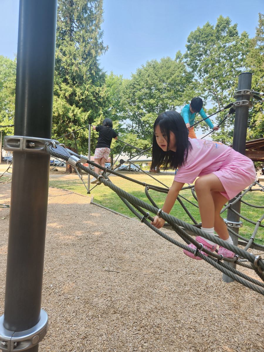 Children playing on the rope climbing frame at the park