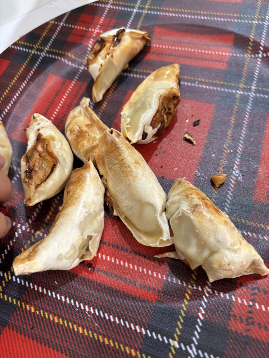 Pan-fried dumplings resting on a plate