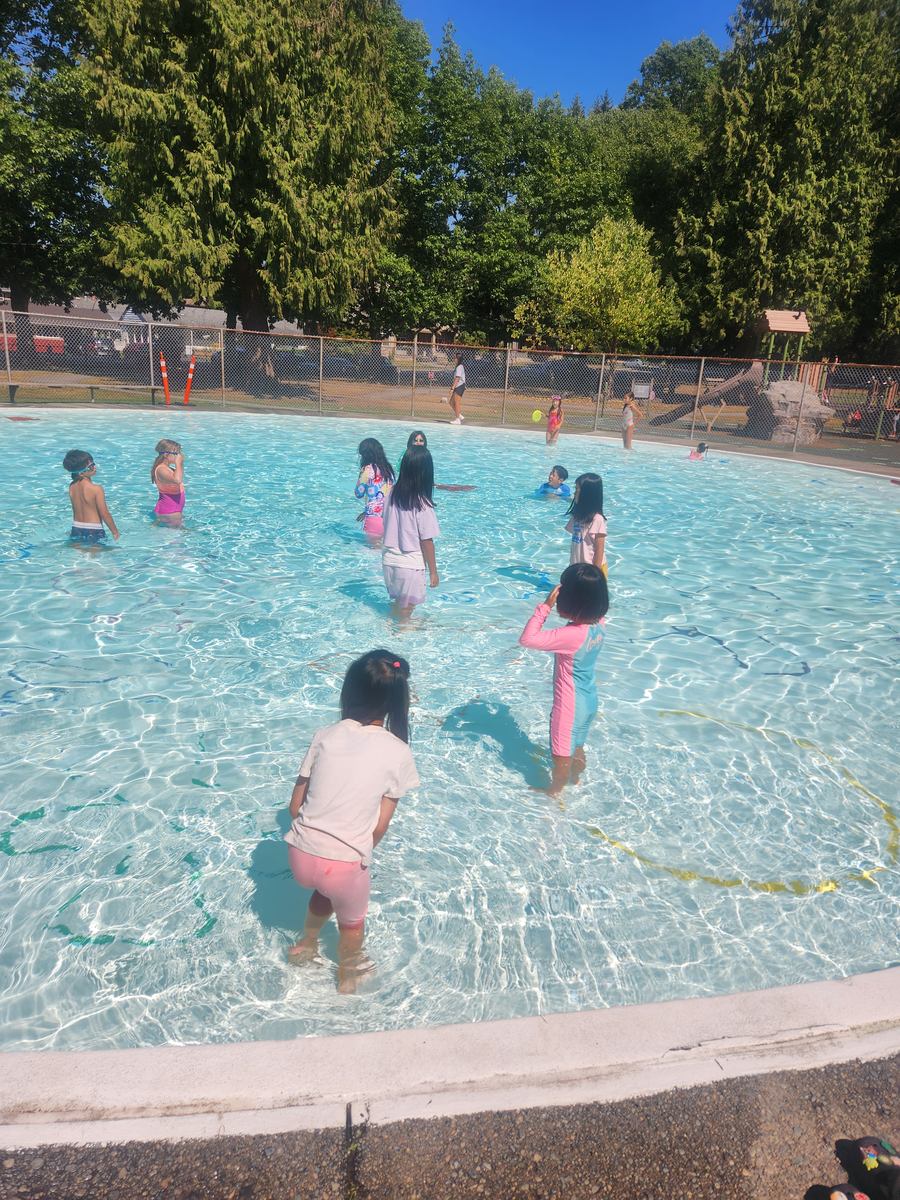 Children playing in the sunlit outdoor pool surrounded by tall trees