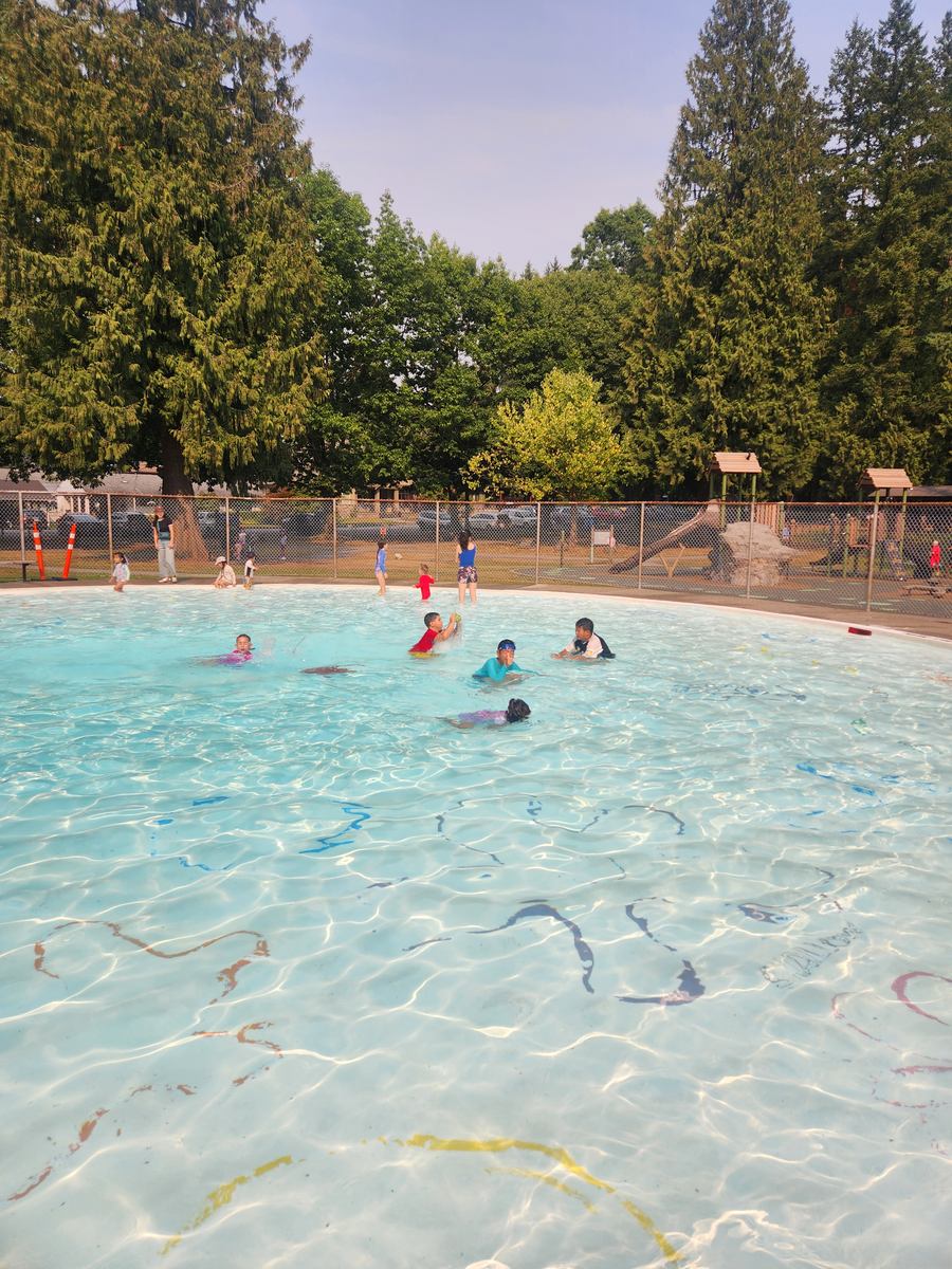 Children swimming in the wide outdoor pool under tall evergreens