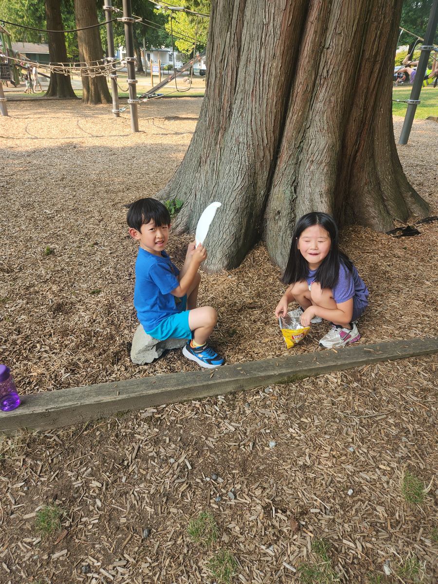 Two students sitting in the shade at the base of an enormous cedar tree
