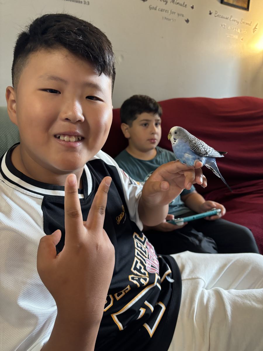 A student making a peace sign with a budgie perched on his hand