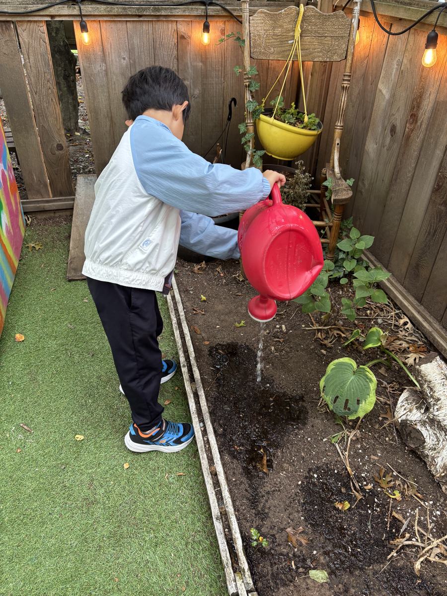 A student watering the vegetable bed along the backyard fence with a red watering can