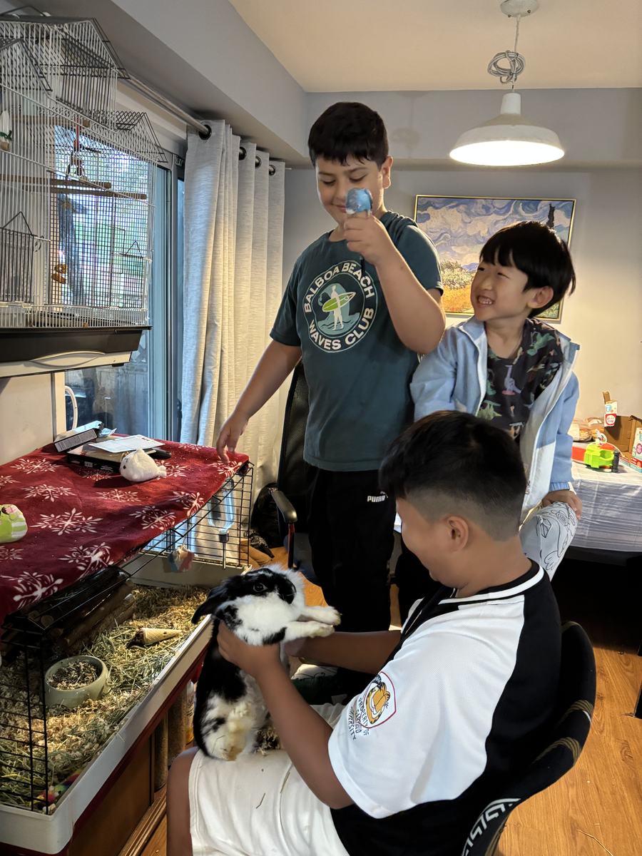 A student holding a black and white rabbit on his lap while two friends look on beside the birdcage