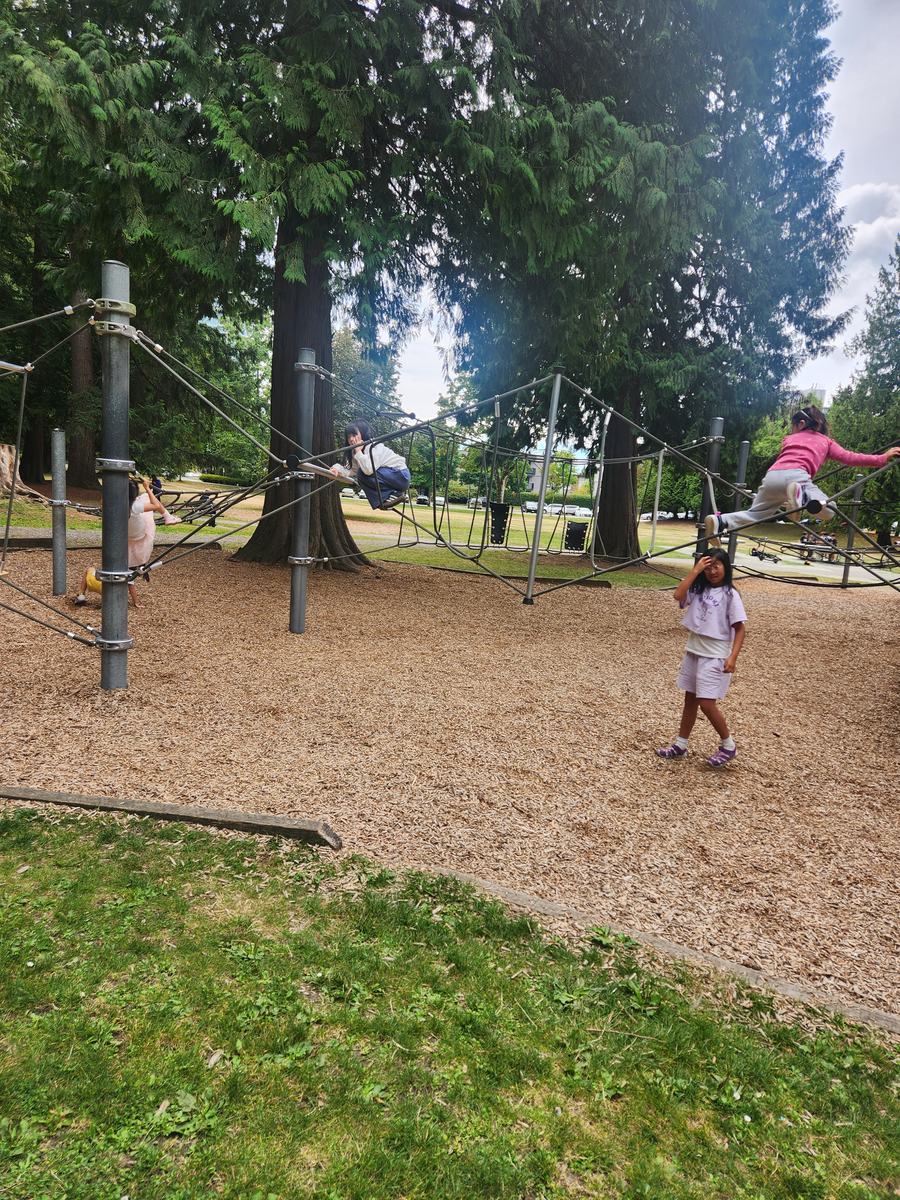A wide view of the rope course and playground under the tall trees at Blue Mountain Park