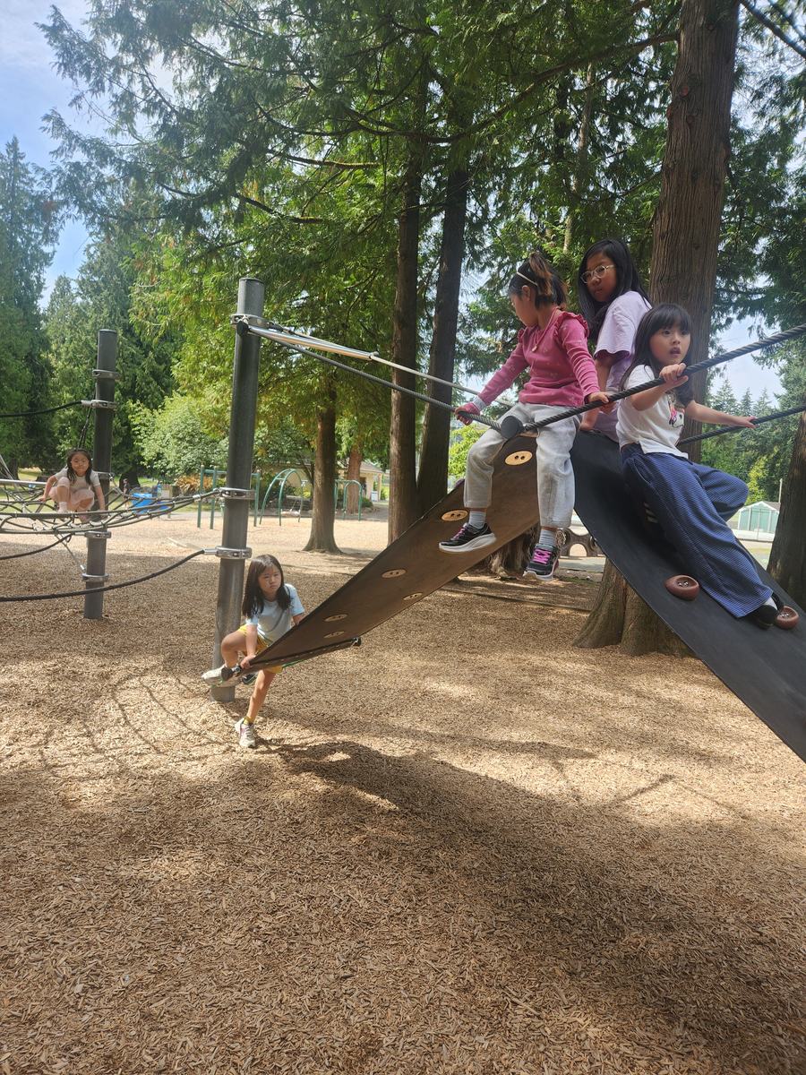 Students climbing along the rope course between the tall cedars at the park