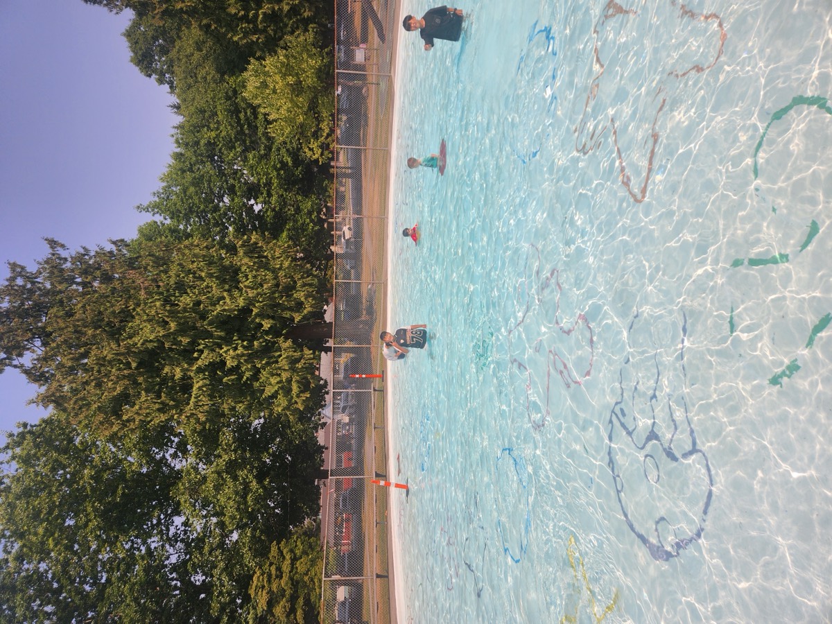 Children playing in a sunny outdoor pool surrounded by tall trees