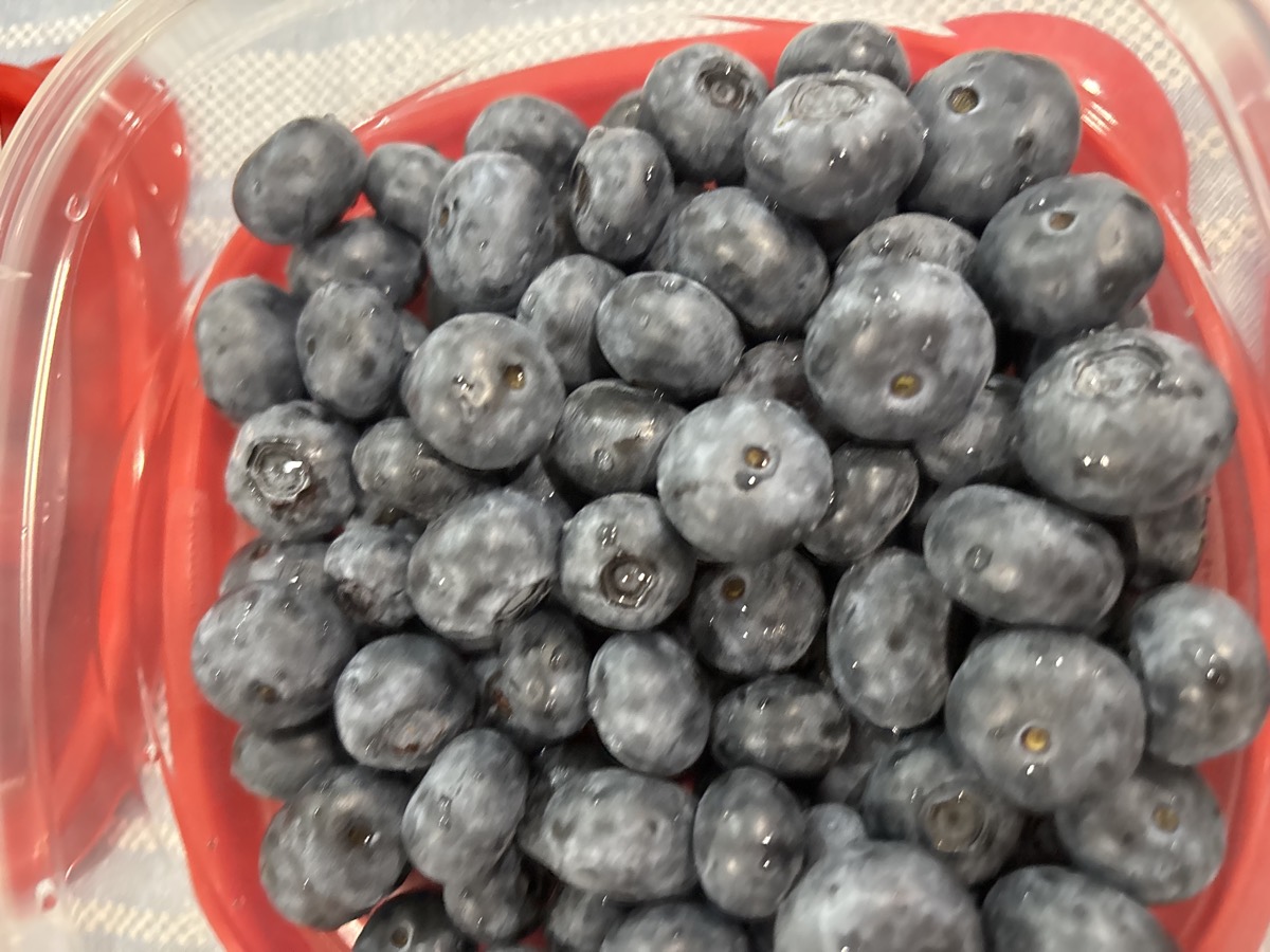 A container of fresh blueberries