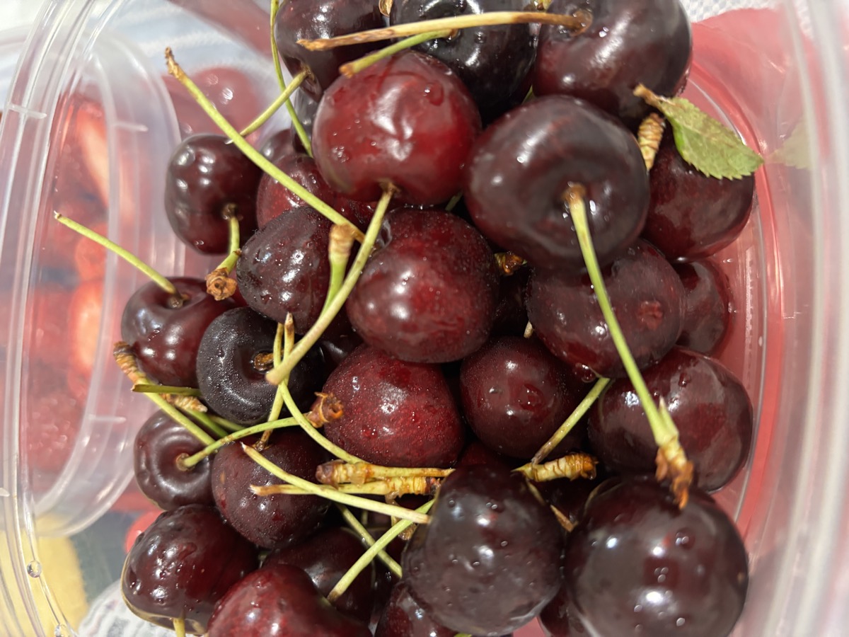 A container of fresh dark cherries