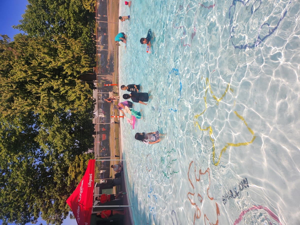 A wide view of the outdoor pool surrounded by tall trees on a sunny day