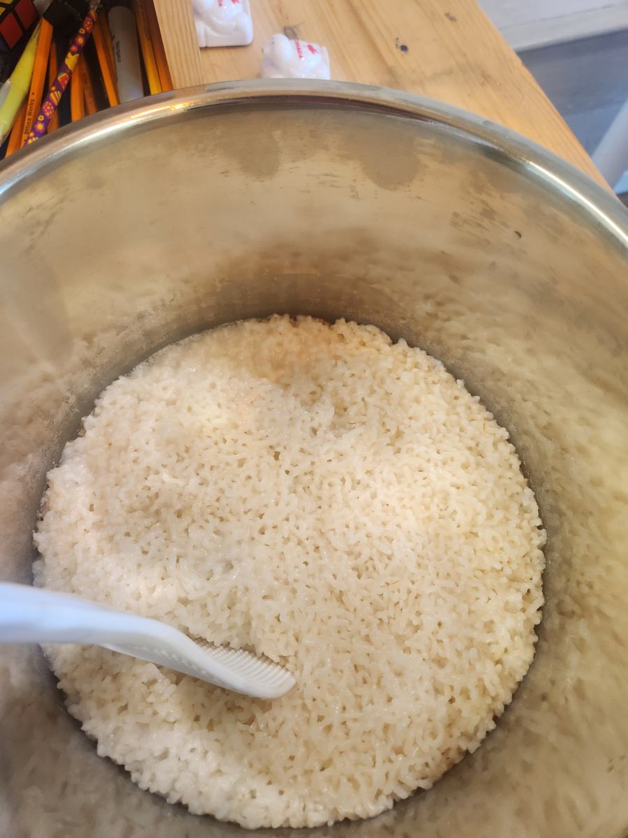 A rice cooker full of freshly cooked white rice