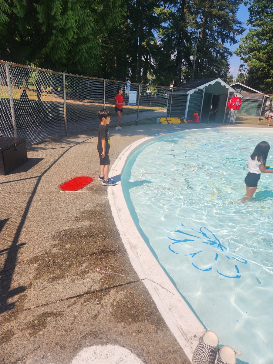 The outdoor pool busy with children on a bright afternoon