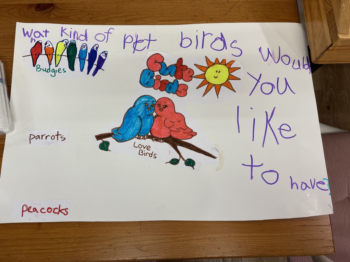 A research poster asking what kind of pet birds would you like to have