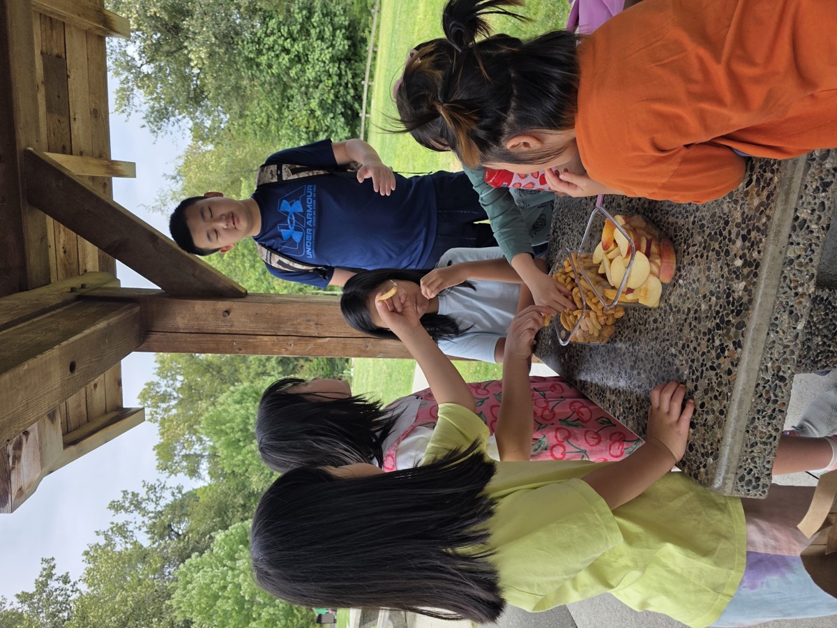 Kids sharing snacks around the picnic shelter table