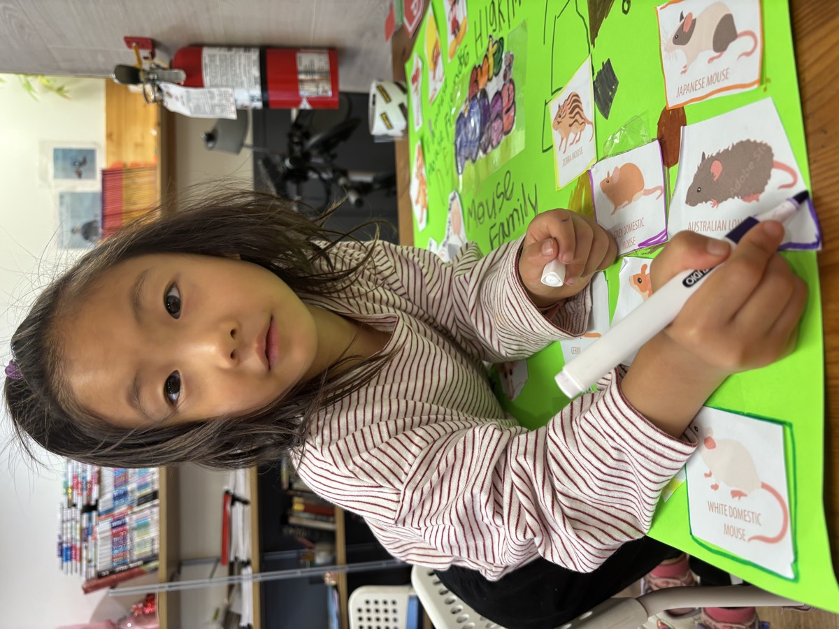 A girl looking up from her green Different Kinds of Mice poster