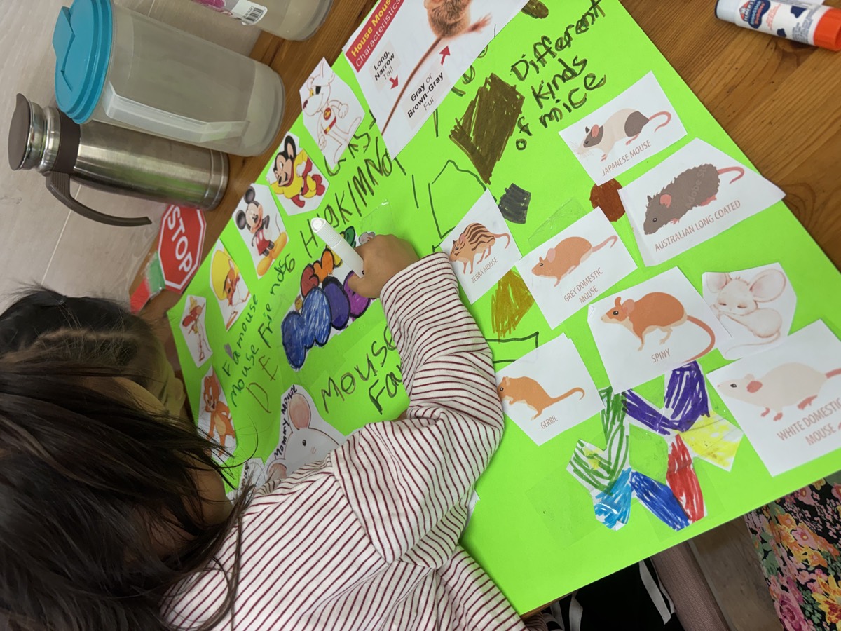 Working on the Different Kinds of Mice poster with pictures and labels