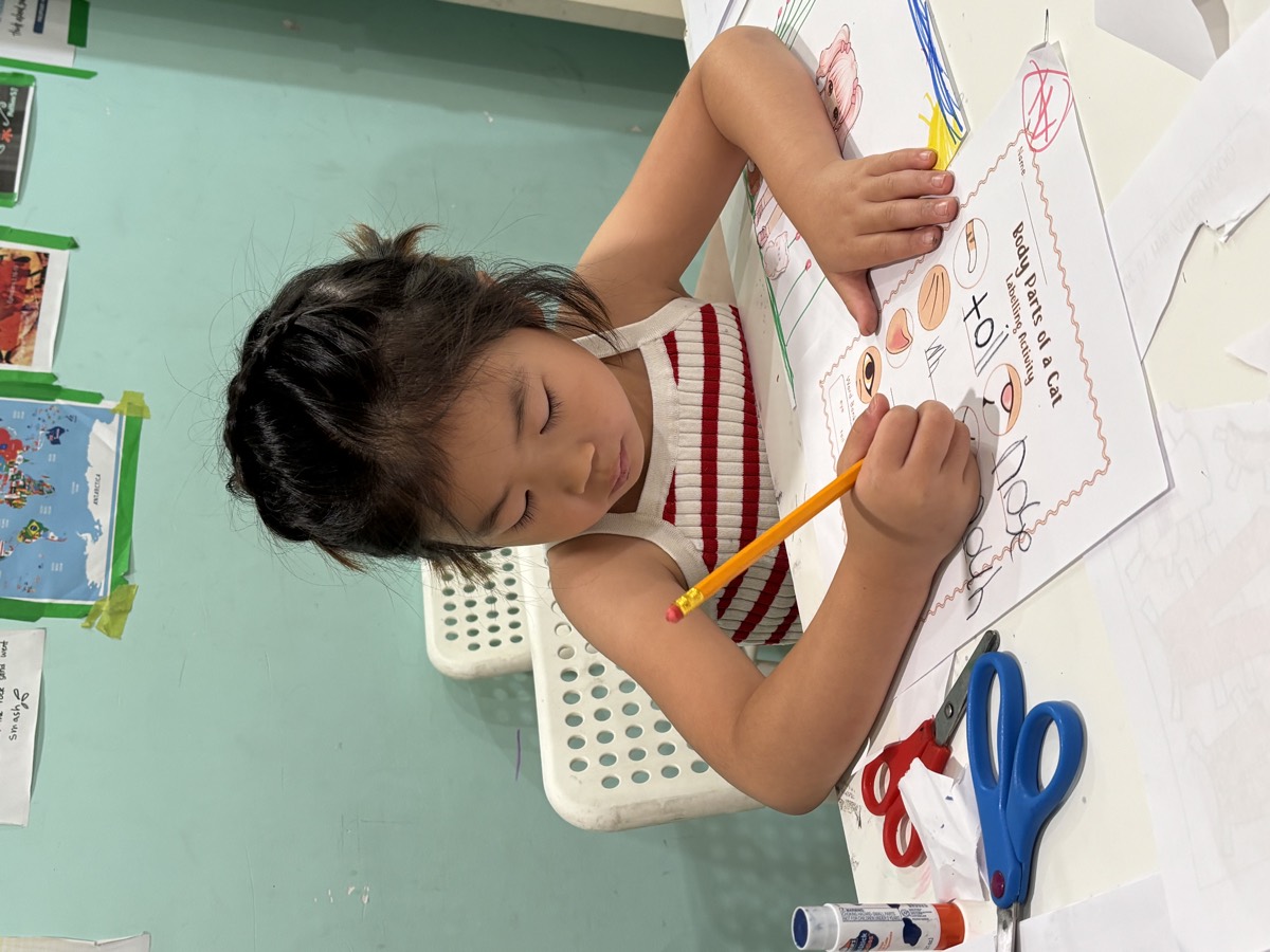 A student colouring the Body Parts of a Cat worksheet
