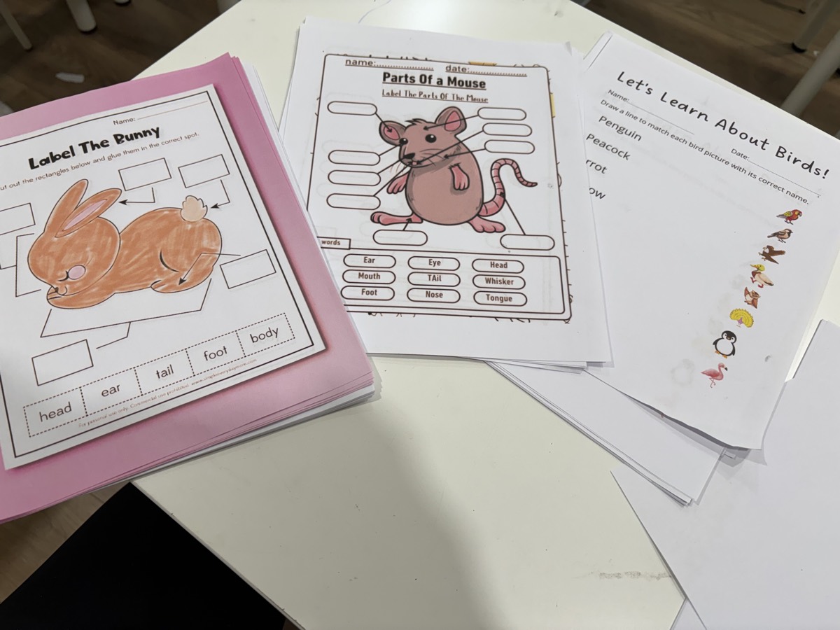 A stack of collected final worksheets — Label the Bunny, Parts of a Mouse, and more