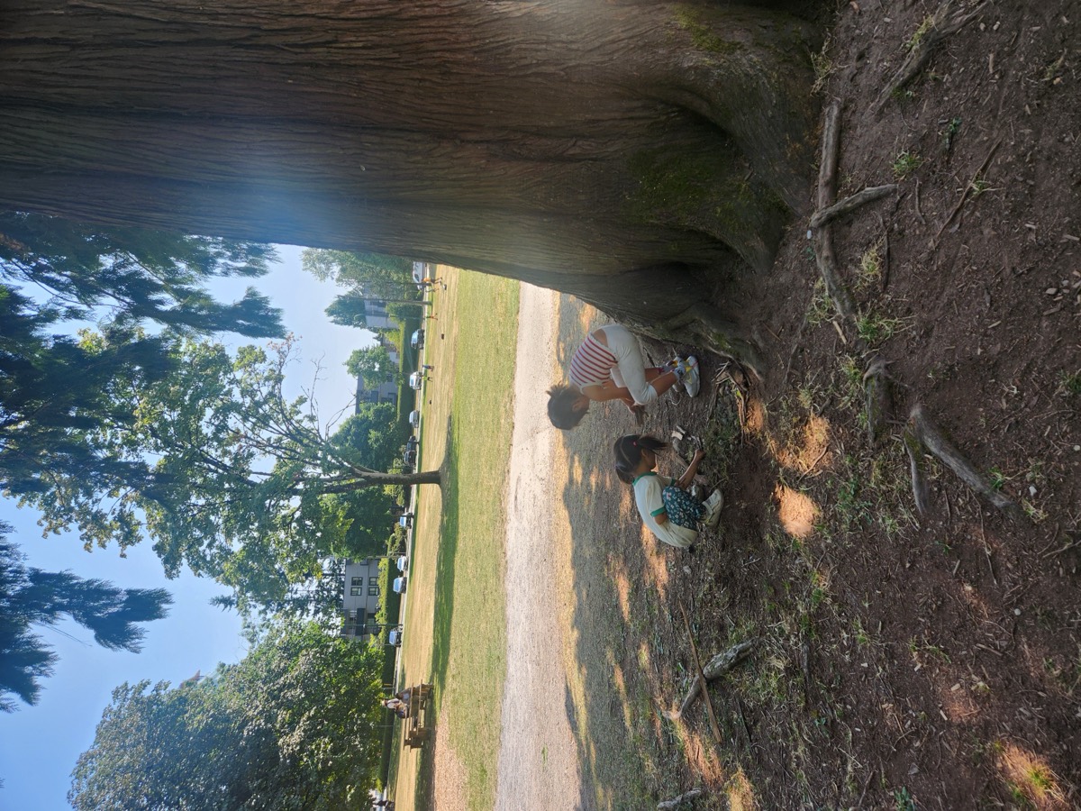 Two kids digging and exploring under a giant cedar tree at the park