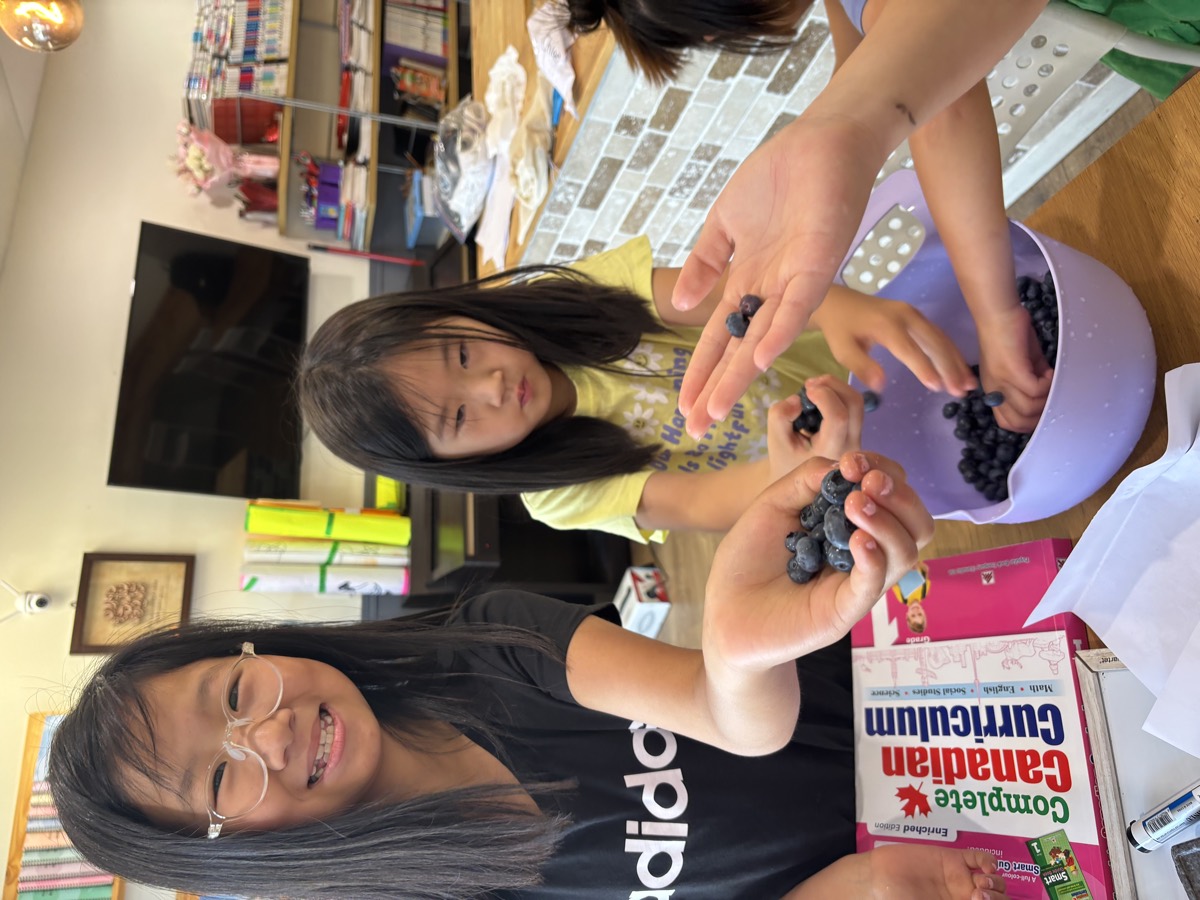 Two girls holding handfuls of fresh blueberries over a purple bowl