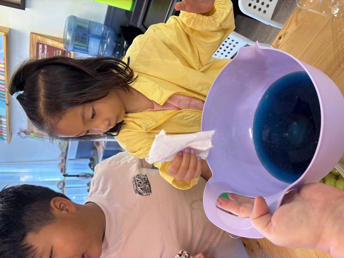 A student adding fresh grapes into a big purple bowl of blue jelly
