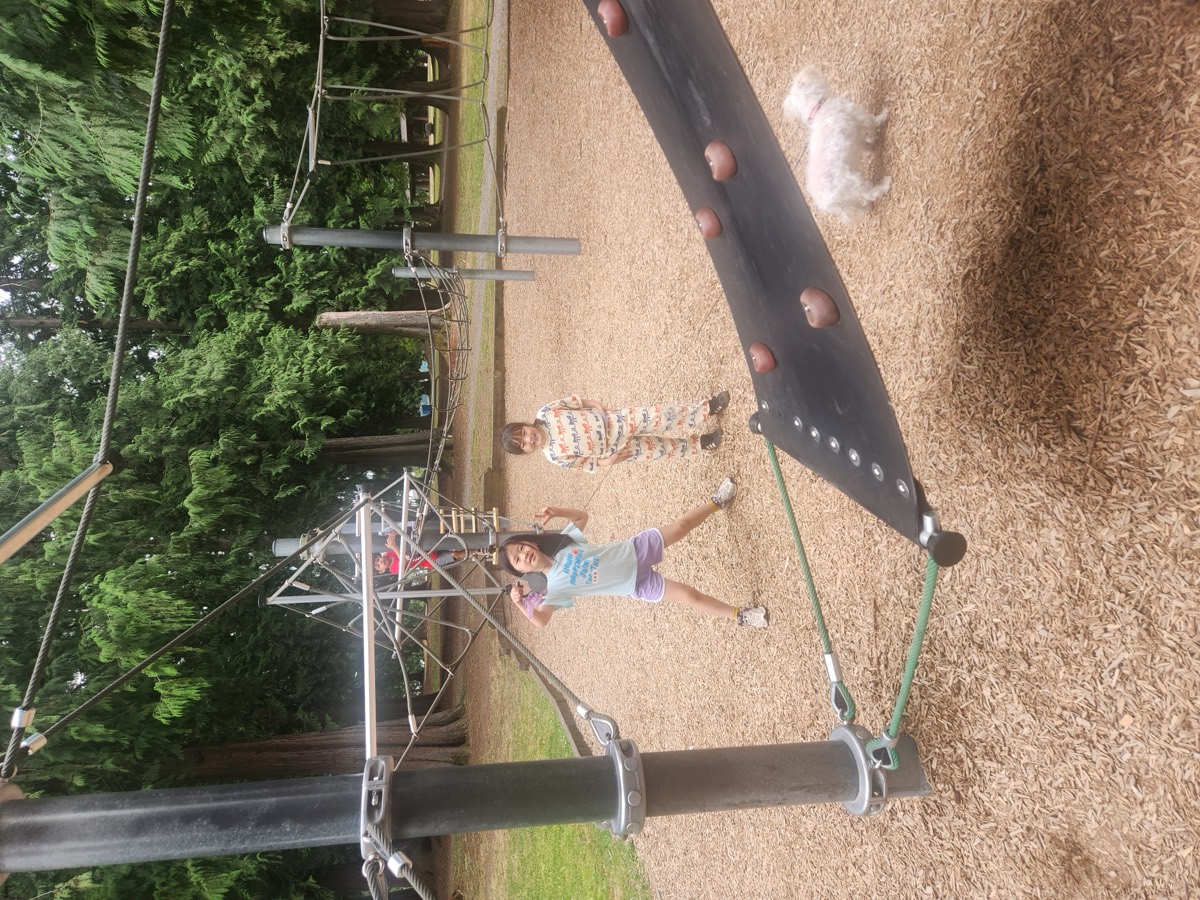 Two children playing on the zip line and climbing frame at the park