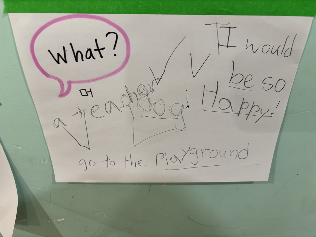 A What question chart on the wall with answers reading a teacher, a dog, and go to the playground