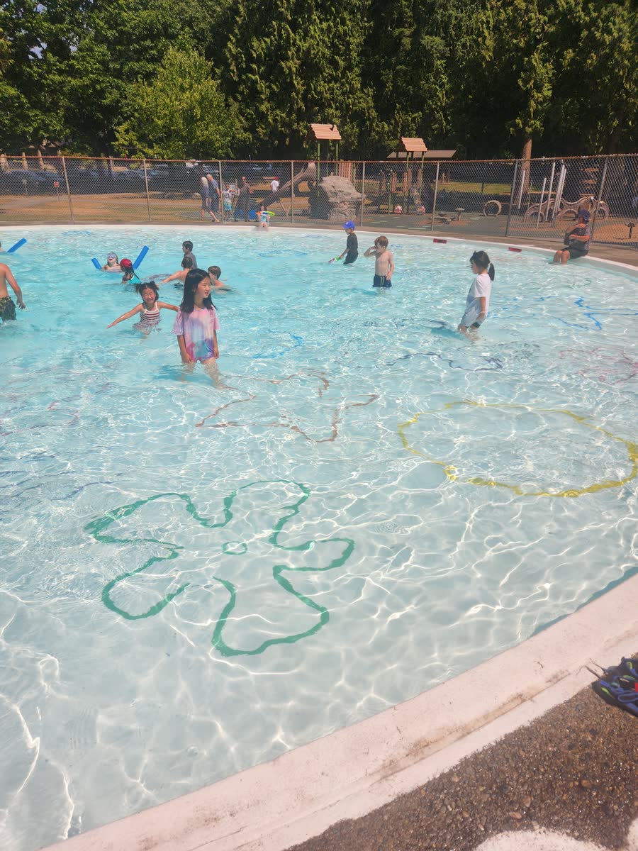 Summer campers spread across the outdoor pool under bright sunshine