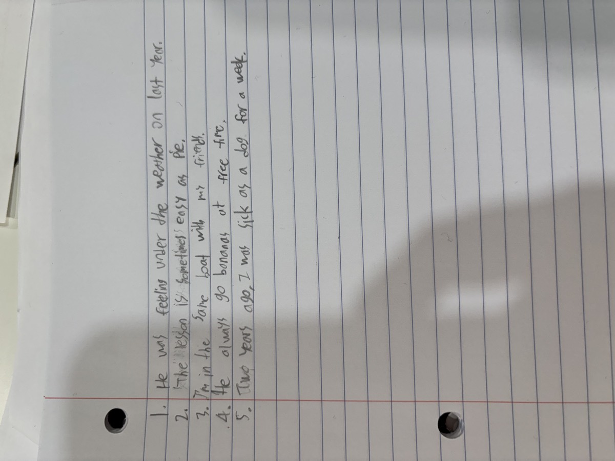 A student's page with five sentences using idioms like under the weather, easy as pie and sick as a dog