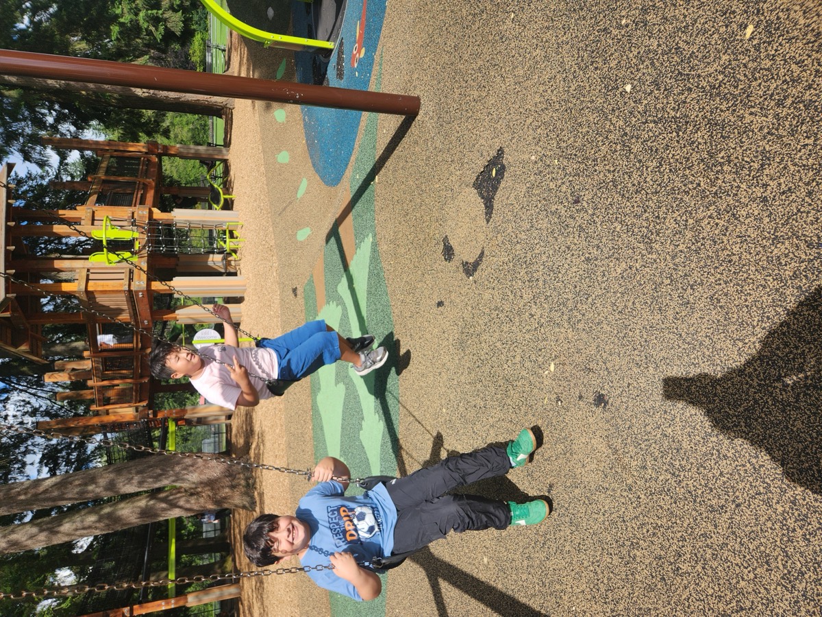 Two boys on the swings at a woodland playground giving thumbs up