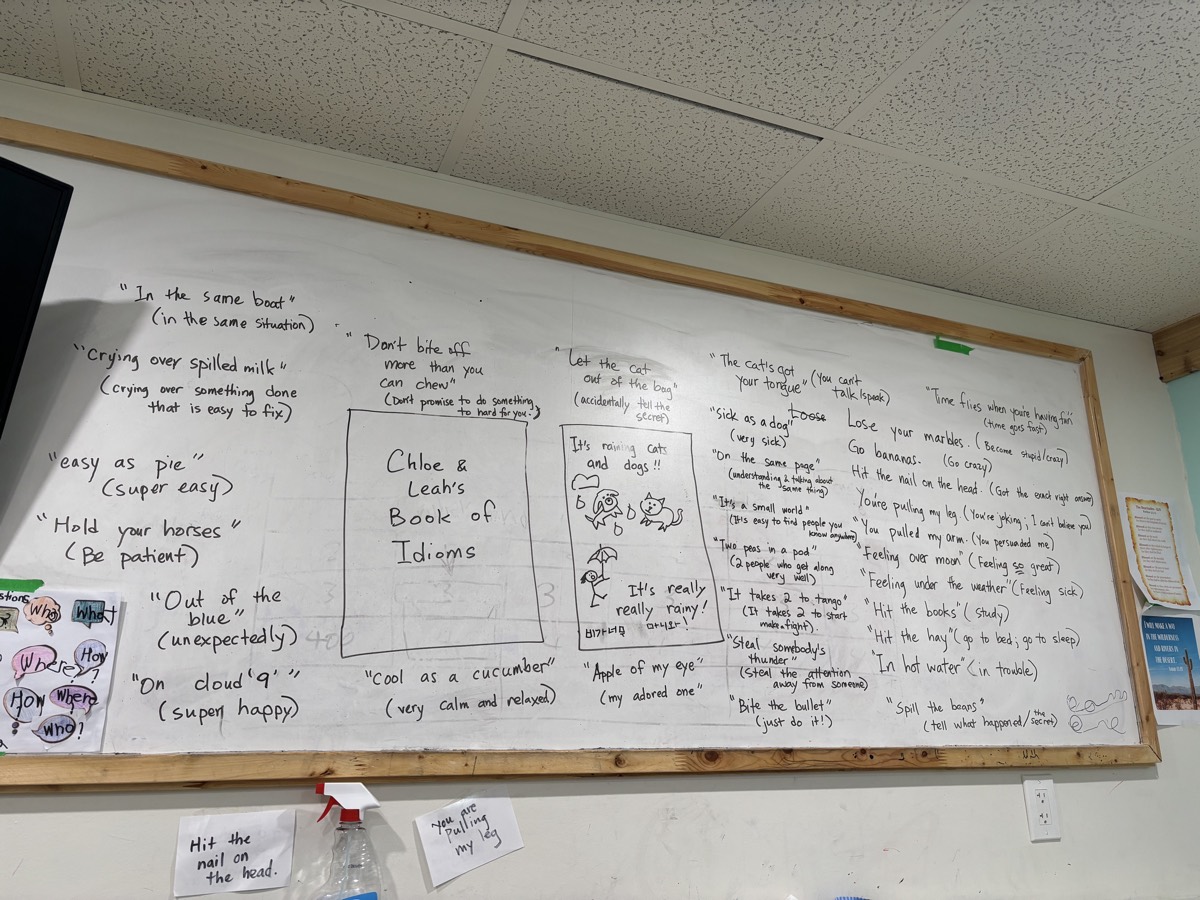 A whiteboard covered in handwritten idioms and their meanings, including don't cry over spilled milk, hold your horses and easy as pie