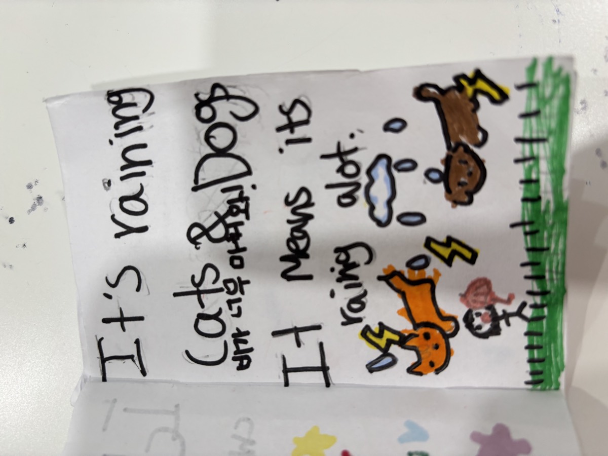A booklet page reading It's raining cats and dogs, it means its raining a lot, with drawings of falling cats and dogs