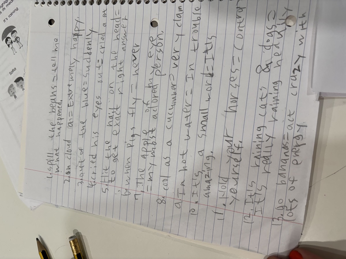 A lined notebook page with thirteen numbered idioms and their meanings written out in pencil
