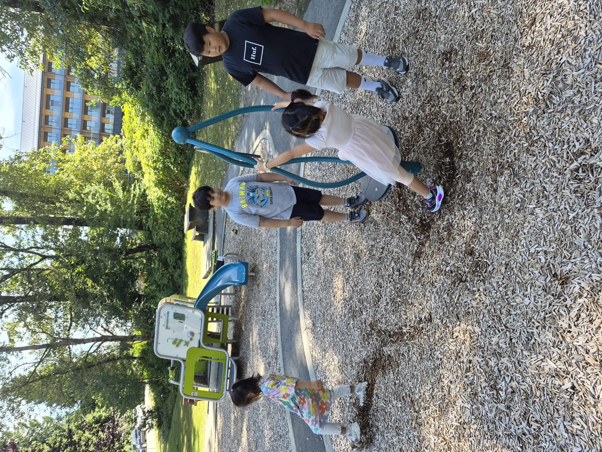 Students gathered around the playground spinner together under the trees on a sunny afternoon