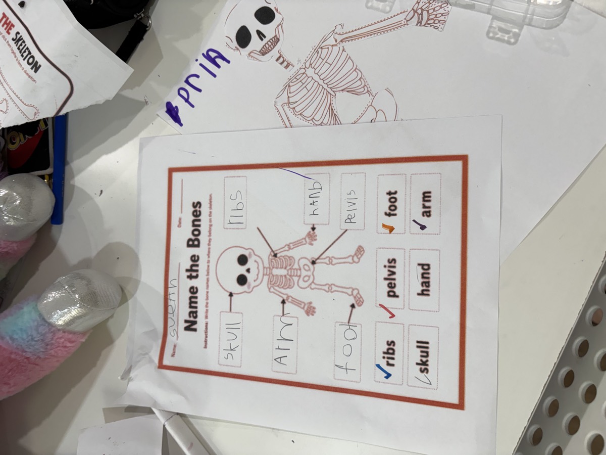 A completed Name the Bones worksheet with skull, ribs, arm, hand, foot and pelvis written in and ticked off