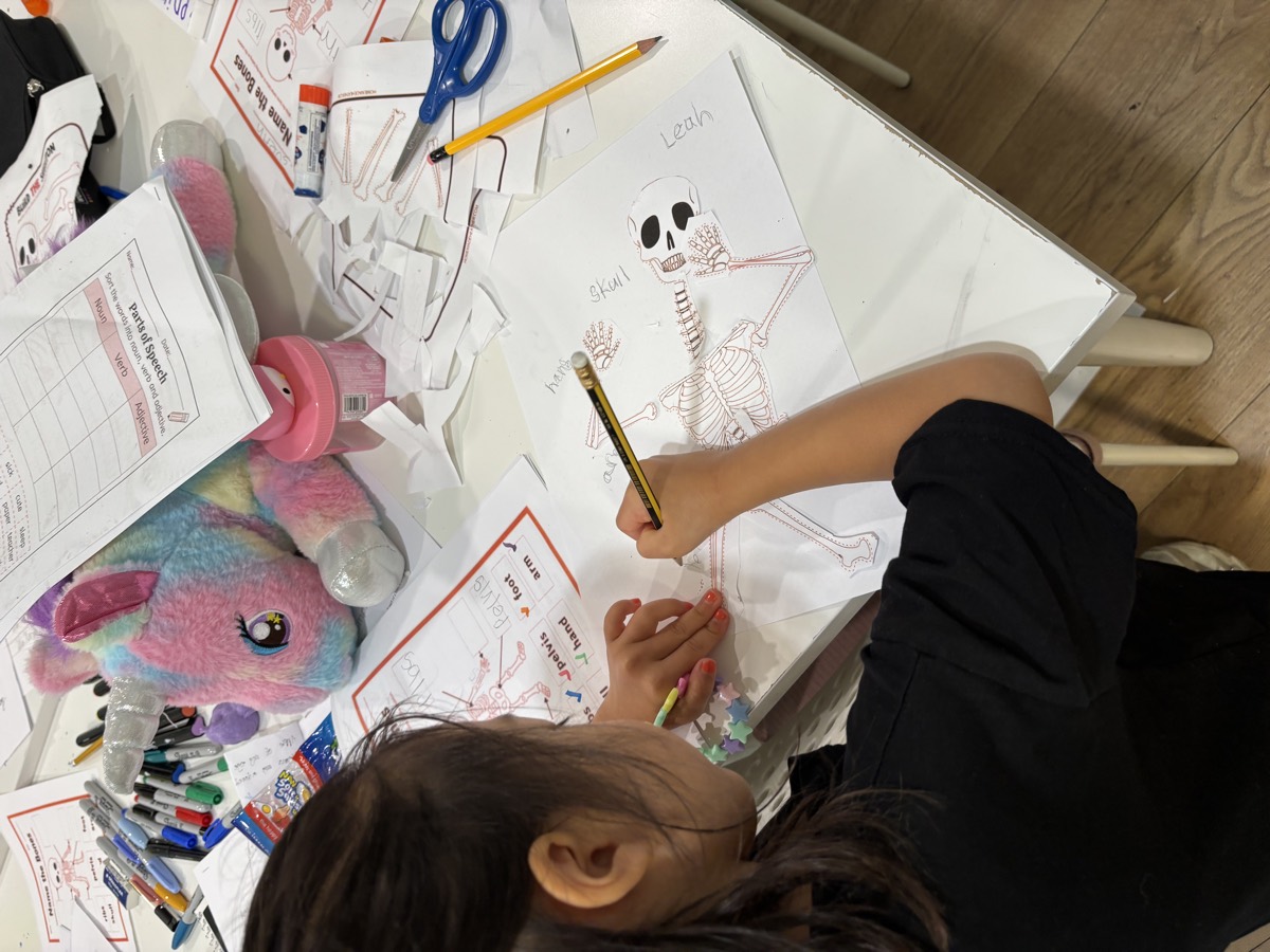 A young student working on a skeleton worksheet at her desk with pencils and cut-out labels spread around