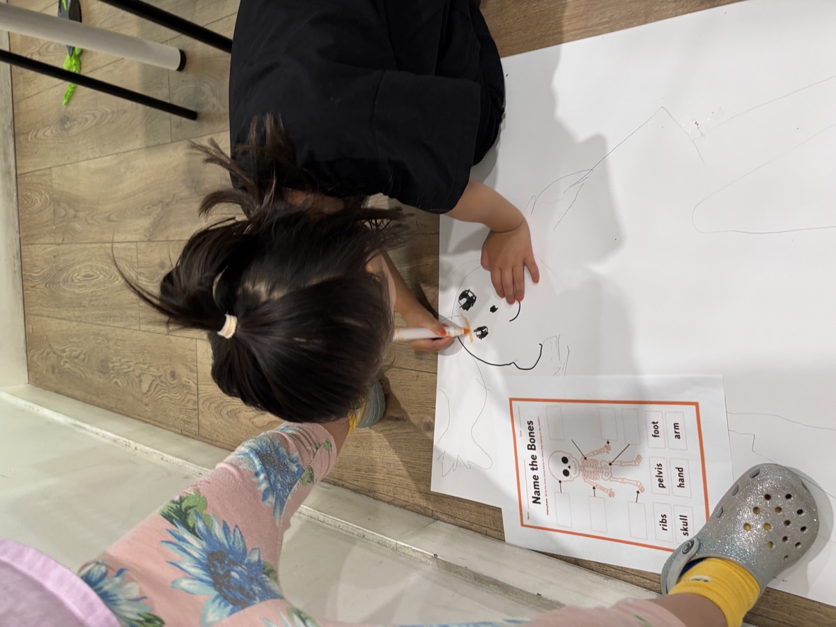 A young student kneeling on the floor drawing a skull onto a large traced body outline, with a Name the Bones worksheet beside her