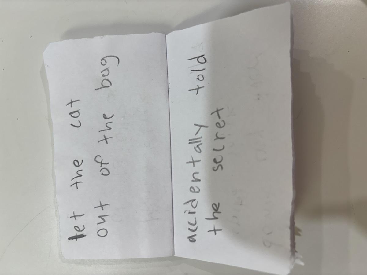 A flip-book page reading Let the cat out of the bag, accidentally told the secret