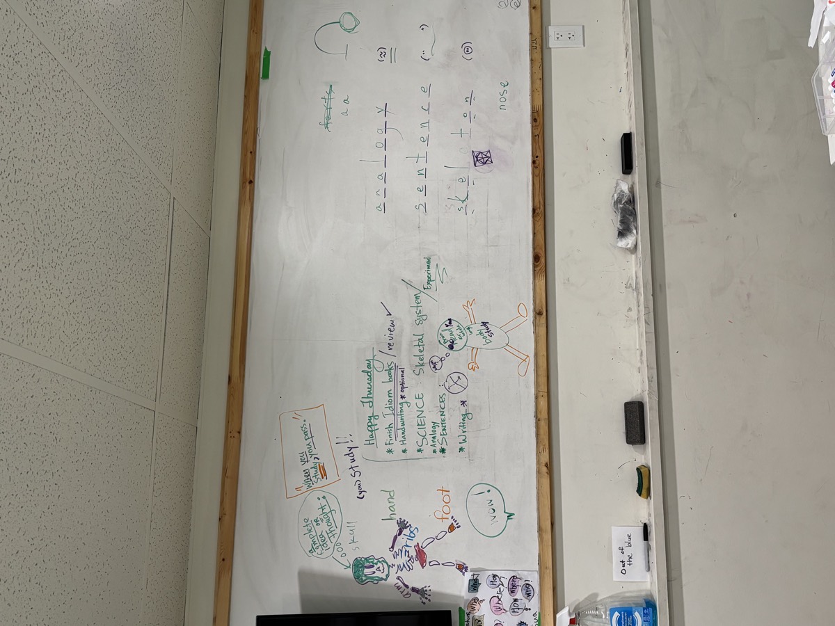 A whiteboard listing the day's plan — finish idiom books, handwriting, science skeletal system, analogy, sentences, writing — with a drawn figure labelled skull, arm, ribs, hand and foot