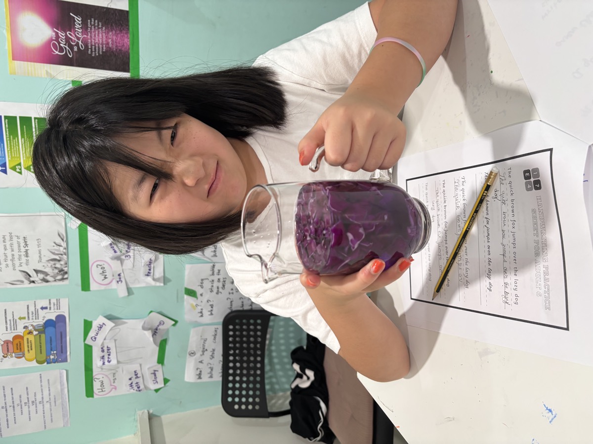 A student holding up a glass jug filled with deep purple water and shredded red cabbage