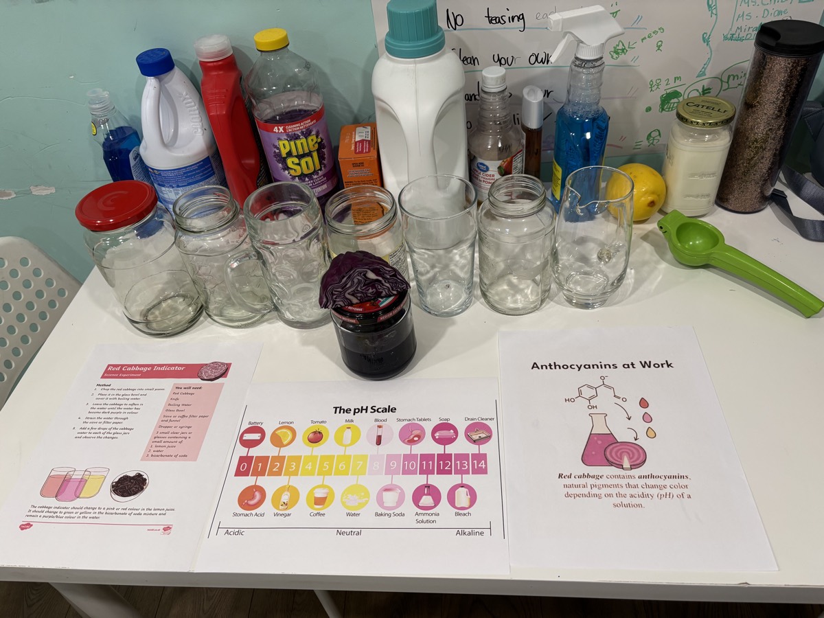 A table set up with empty glass jars, bottles of household liquids and a printed pH scale chart