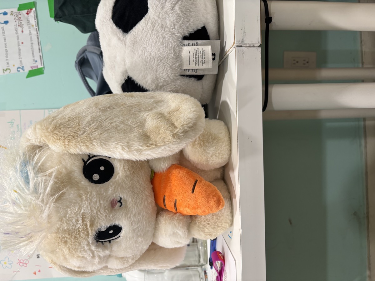 A soft white bunny toy holding a carrot sitting on the classroom table beside a football plushie